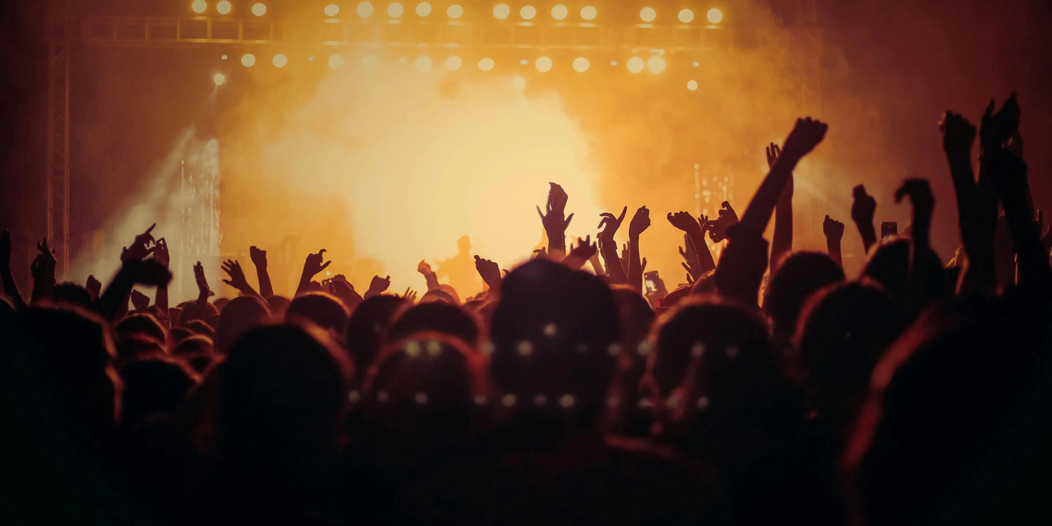 A crow is lifting their hands at a music concert